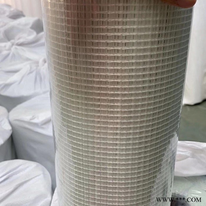 外墙网格布 外墙保温网格布 PVC网格布 保温网格布图3