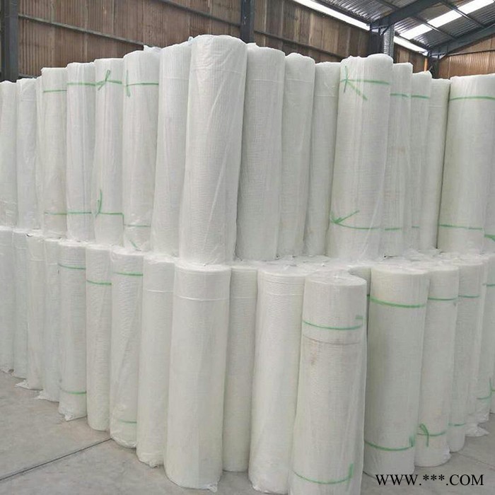 【鑫丰】建筑保温网格布 内墙防开裂网格布 透明网格布 价格合理 一站式采购图7