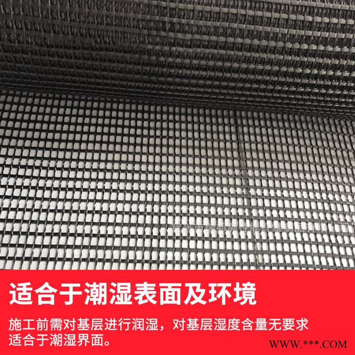 瑞力仕碳纤维网格布耐高温网格布 房屋桥梁楼层加固布5mm-10mm规格可定 加固纤维图5