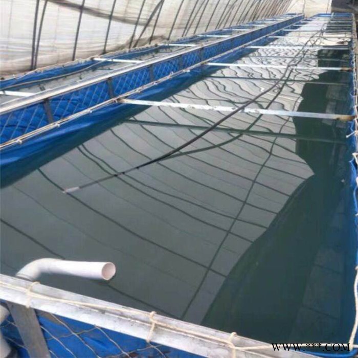 帆布水池养虾养鱼帆布鱼池养水蛭养蚂蟥帆布池帆布水槽水箱