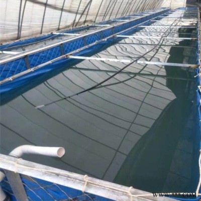 帆布水池养虾养鱼帆布鱼池养水蛭养蚂蟥帆布池帆布水槽水箱