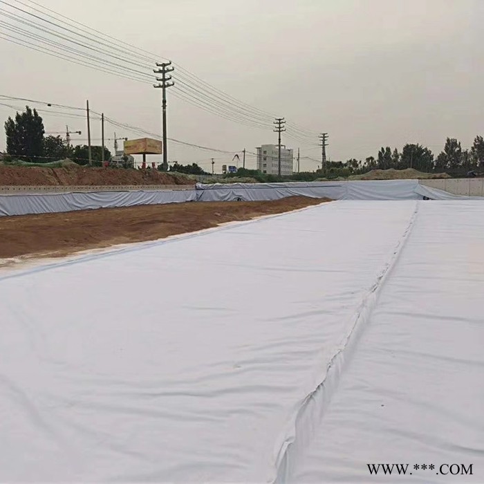 厂家生产 网格布土工布防渗膜 HDPE土工膜 聚乙烯土工膜图2