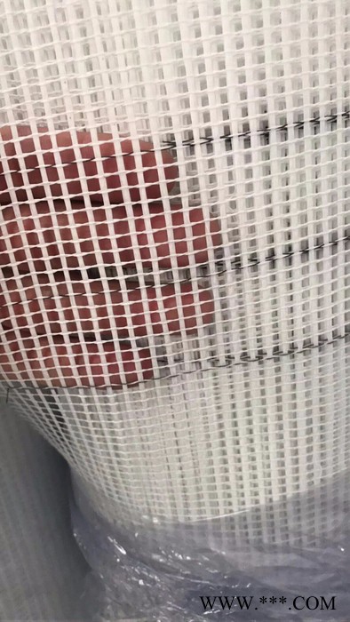 致远网格布 网格布厂家网格布价格 耐碱网格布  玻纤网格布厂图2