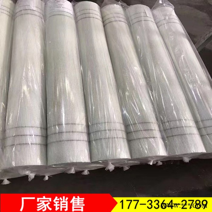 玻璃纤维网格布 工地网格布 采用优良材质生产厂家 质量有保障图2