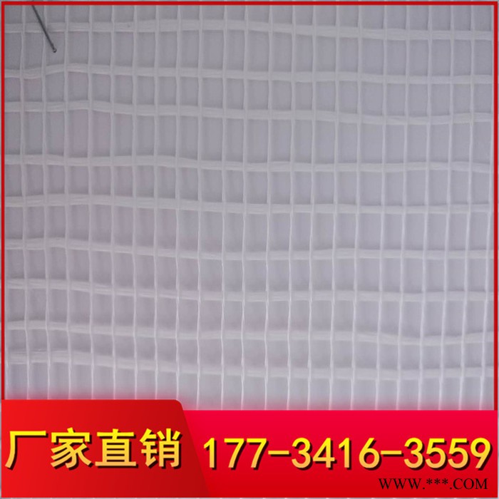 批量生产工地专用网格布 耐碱抗裂玻璃纤维网格布 厂家定制 1*50图5