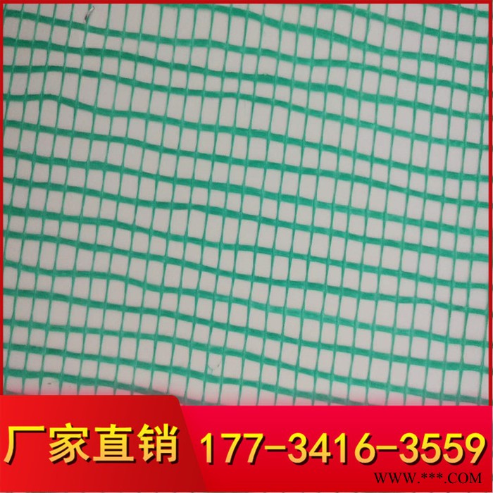 批量生产工地专用网格布 耐碱抗裂玻璃纤维网格布 厂家定制 1*50图1