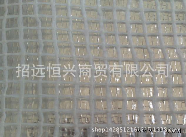 建筑工地网格布 玻璃纤维网格布  价格优惠
