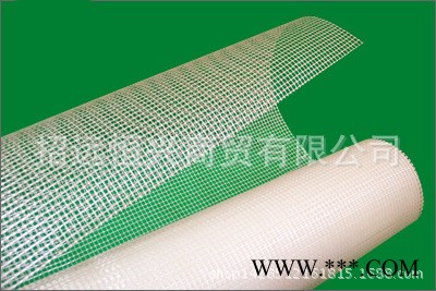 建筑工地网格布 玻璃纤维网格布  价格优惠图2