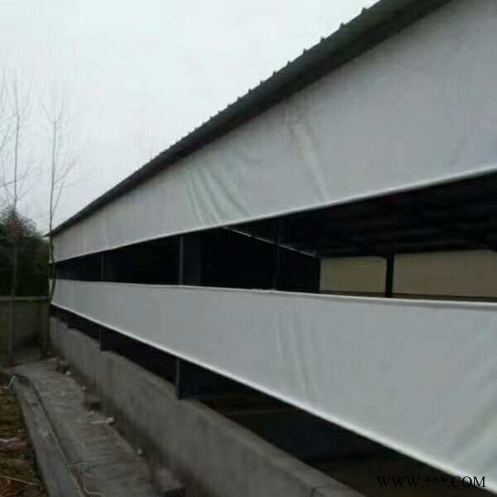 畅宏 猪场卷帘 帆布厂家 专业定制猪场卷帘 帆布防水防雨防冻抗老化耐磨 来尺寸加工定做直销批发图4