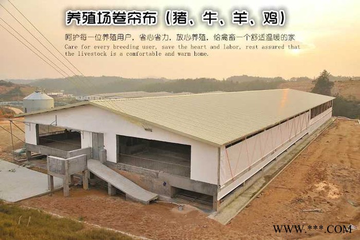 万利源帆布 养殖卷帘布定做 白色透光猪场保温布大型牛棚挡风篷布批发图5