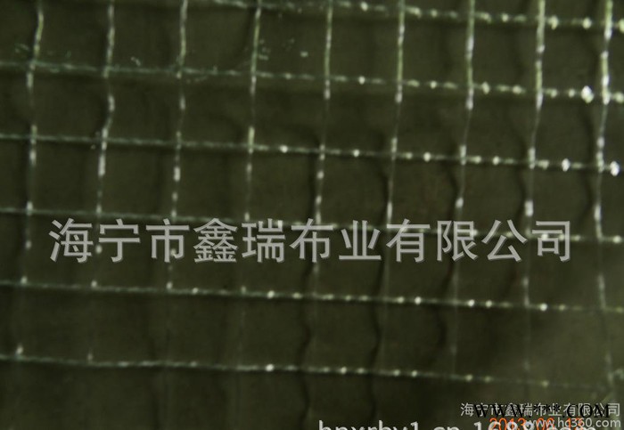 诚信经营品质保障海宁透明特大网格布图2