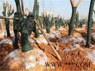北京永兴** 防寒布 无纺布 彩条布 帆布 防雨布 篷布 苫布图4
