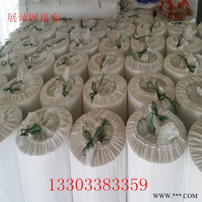特价批发展诚 100克耐碱网格布图5