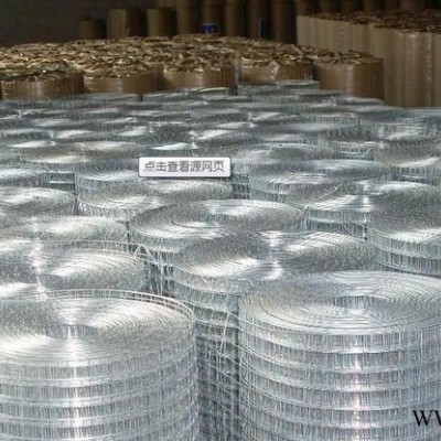 金属网电焊网抹墙网网格布防裂网现货直销