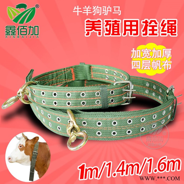 养殖场用拴牛羊绳 加厚帆布拴牛绳拴牛羊脖套图4