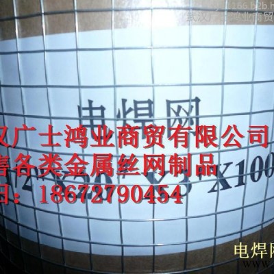 电焊网 外墙保温网 抹墙网 网格布现货供应