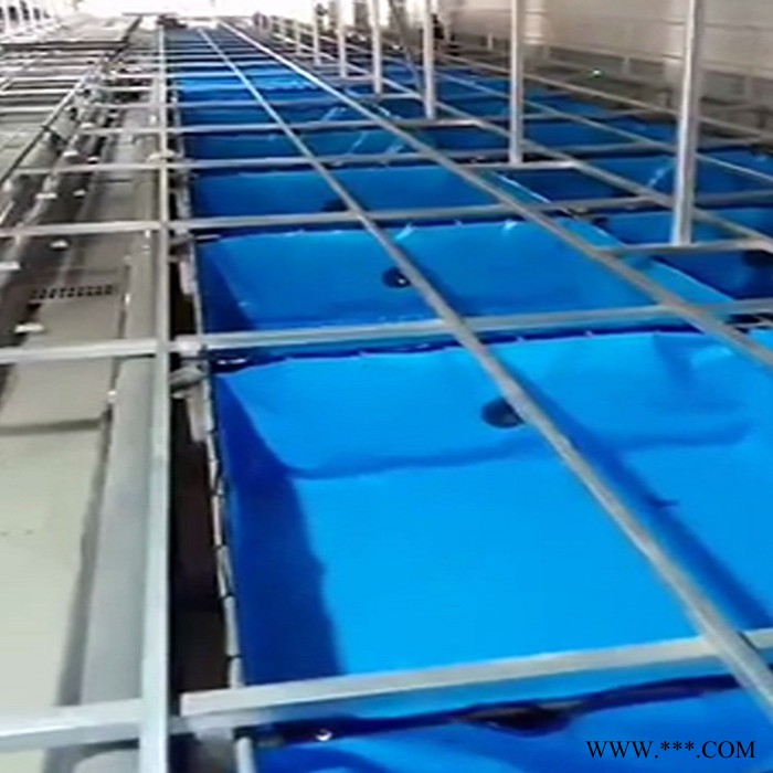 帆布养鱼池 水产帆布养殖池 帆布鱼池价格 帆布养鱼池厂家定制