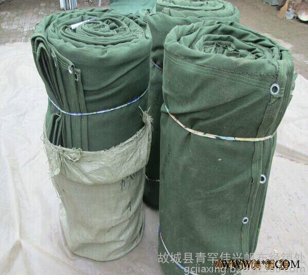 厂家供应白帆布 蓬布 有机硅 **帆布 帆布包专用布图3