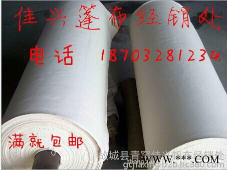 厂家供应白帆布 蓬布 有机硅 **帆布 帆布包专用布图8