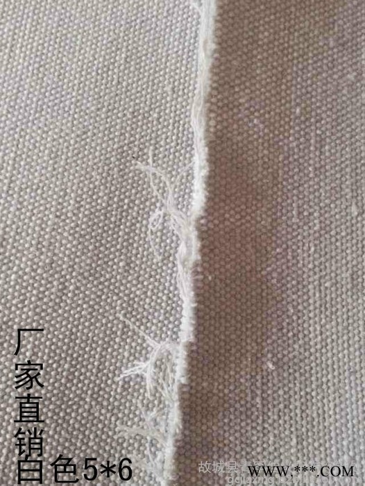 厂家供应白帆布 蓬布 有机硅 **帆布 帆布包专用布图4