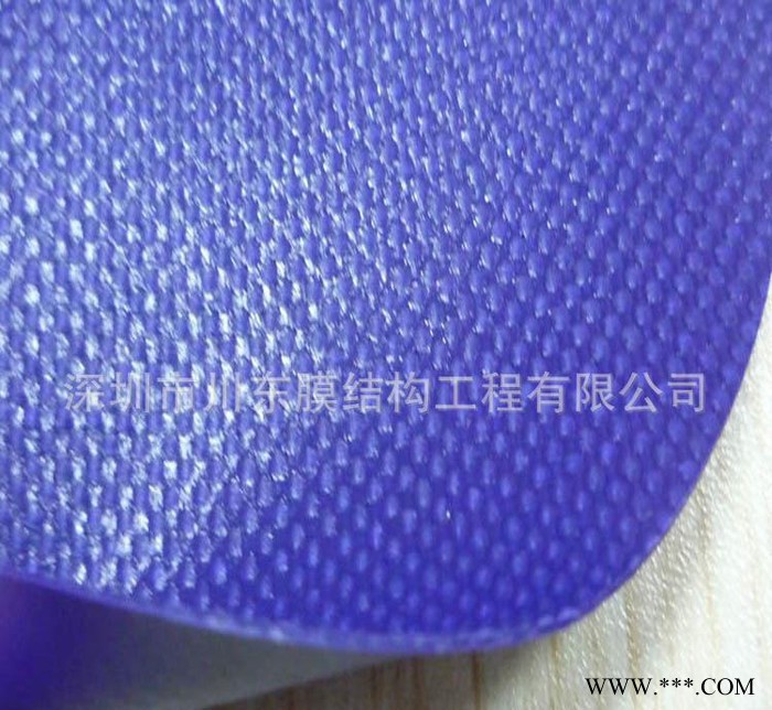 广东品牌阻燃帆布 防水帆布 PVC夹网布 汽车篷布图2