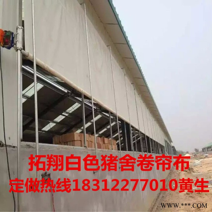 河北  PVC涂层   养殖专用帆布  猪场卷帘布   农业工业专用帆布图4