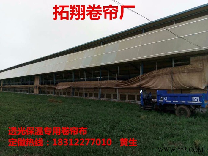 河北  PVC涂层   养殖专用帆布  猪场卷帘布   农业工业专用帆布图3
