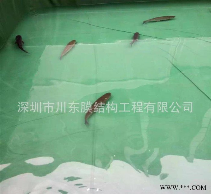 深圳川东养殖帆布鱼池订做 折叠帆布鱼池 景观帆布鱼池 帆布鱼图2