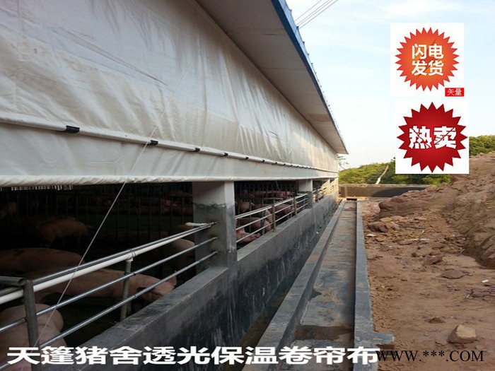 江西赣州帆布厂供应防水帆布  /**猪舍卷帘布/篷布批发