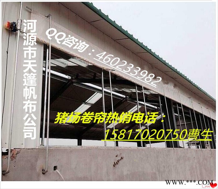 天篷帆布供应防寒保暖耐磨猪场卷帘布/汽车防雨布 帆布批发图2