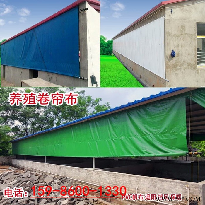 广西南宁热卖加厚ＰＶＣ防水防晒耐磨通风养殖卷帘帆布2*3 耐拉帆布图3