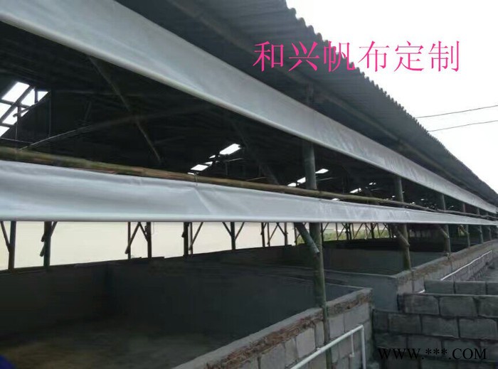 宜春和兴帆布PVC养猪场卷帘帆布批发加工定做防嗮防水价格便宜 宜春养猪场卷帘帆布图5