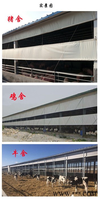 宜春和兴帆布PVC养猪场卷帘帆布批发加工定做防嗮防水价格便宜 宜春养猪场卷帘帆布图3