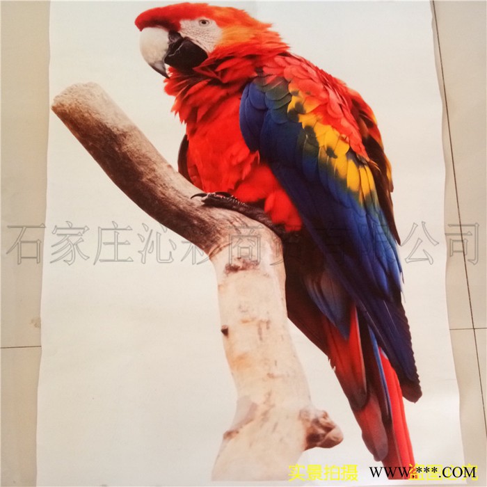 数码印毛毡布 热升华印花针刺无纺布 戟绒布三角旗帜印花毛毡 服装T恤等印花加工 无污染无版费图3