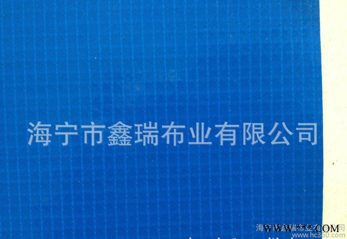 pvc夹网布俄罗斯(专用)涂层布图2