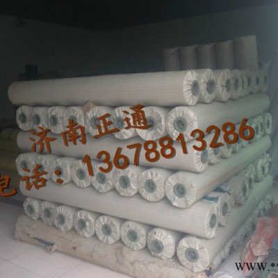 济南正通篷布有限公司 pvc涂塑布   阻燃刀刮布  帆布供应
