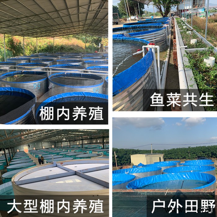 帆布水池养殖高密度水池鱼池刀刮布水池厂家尺寸定做圆形铁桶镀锌板支架整套图4
