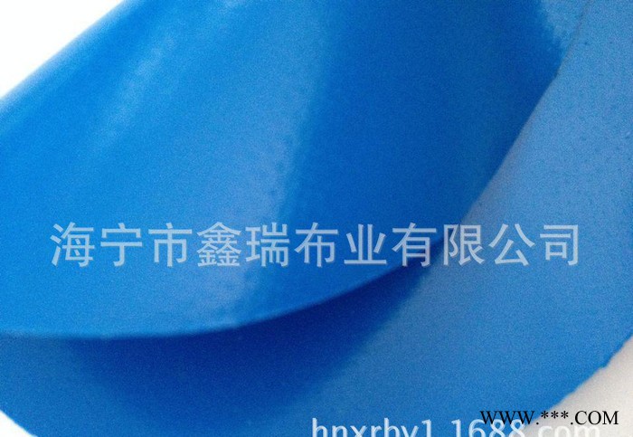 直销PVC夹网布 PVC涂层布 功能性面料 夹网布**价廉图2