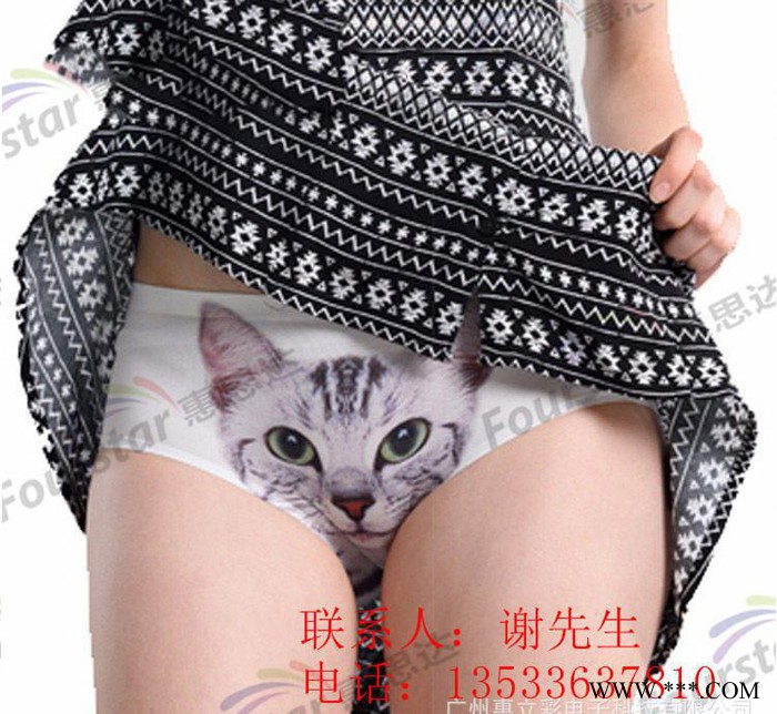 服装个性定制T恤DIY服装印花机万能打印花机直喷布料印花机图2