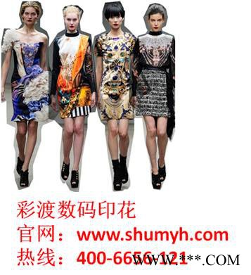 服装用布湖北省 热升华转印厂  昆山彩渡图2