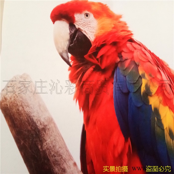 聖誕系列毛氈布印花 数码印刷毛毡布 热升华印無紡布 戟绒布印花毛氈布 服装T恤等印花加工 无污染无版费 印花针刺无纺布图2