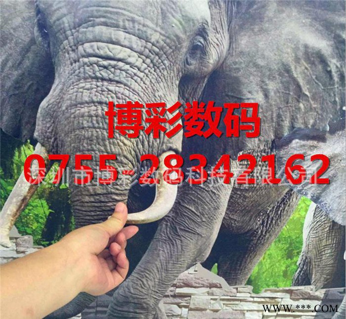 直销uv卷材机油画布装饰品打印爱普生写真机弱溶剂户外图3