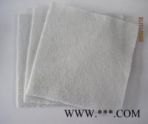 无纺布  一布一膜 厂家定制图3