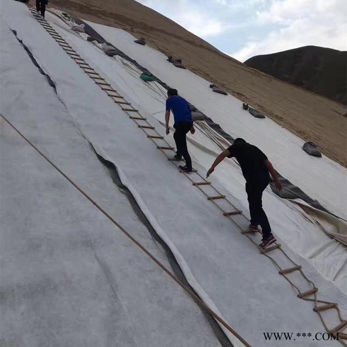 润泽 无纺布 白色土工布价格图7