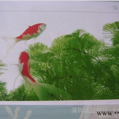 龙岗区油画布彩印加工厂家