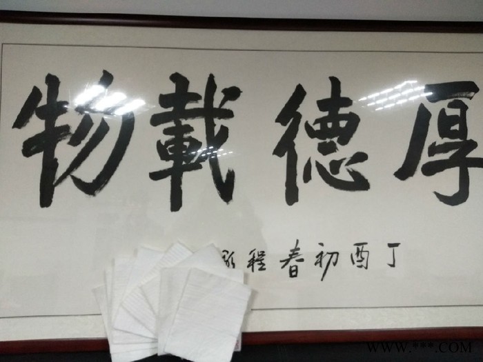 东方 养护保湿300g无纺布质保20年图1
