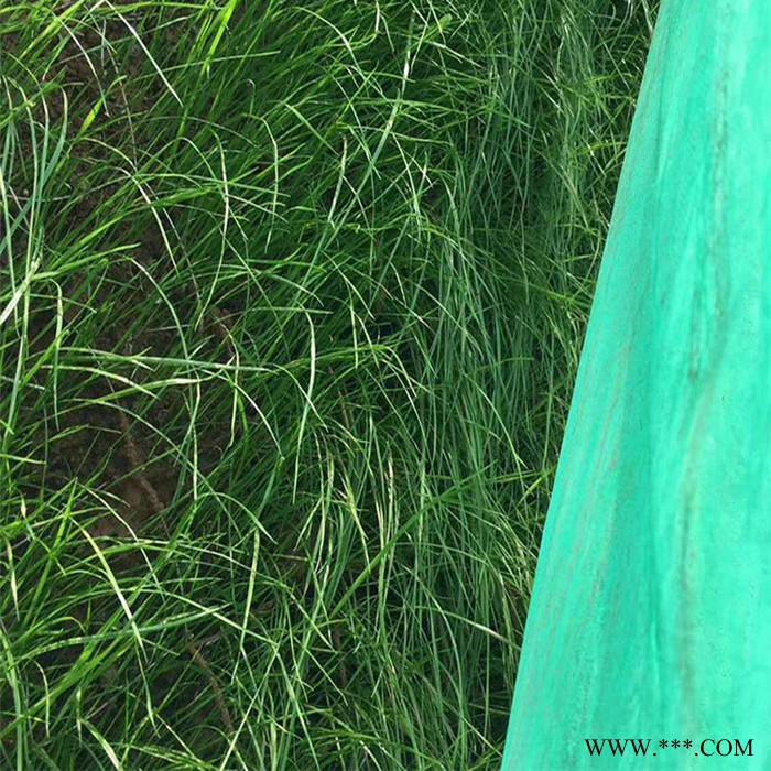 公路边坡绿化植草覆盖防护无纺布 草籽喷播防尘盖土绿色无纺布图2