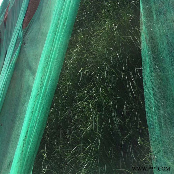 公路边坡绿化植草覆盖防护无纺布 草籽喷播防尘盖土绿色无纺布图5