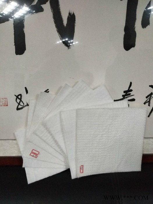 涤纶短纤300g无纺布厂家集锦图7
