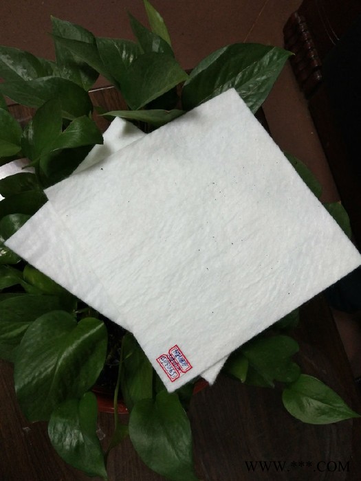 乐建 植草护坡生态无纺布图4